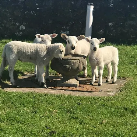 펜션 Sea View Allonby