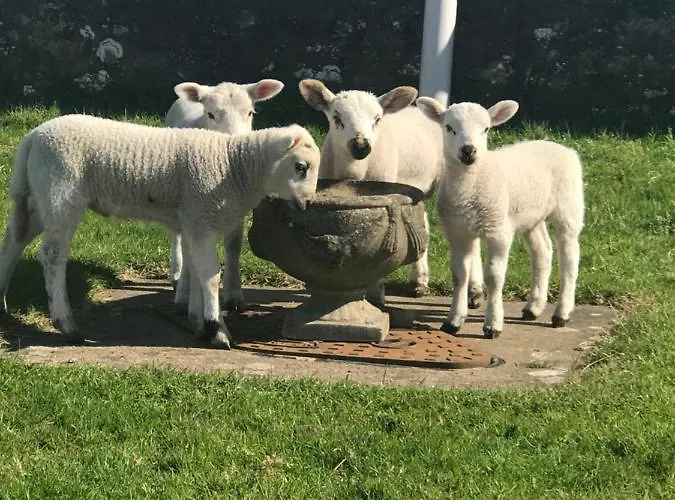 Nyaraló Sea View Allonby